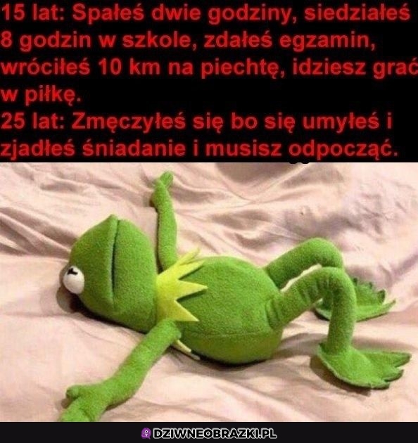 Dorosłość ssie