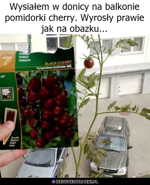 Udało się