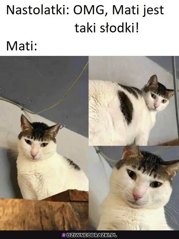 Tymczasem Mati