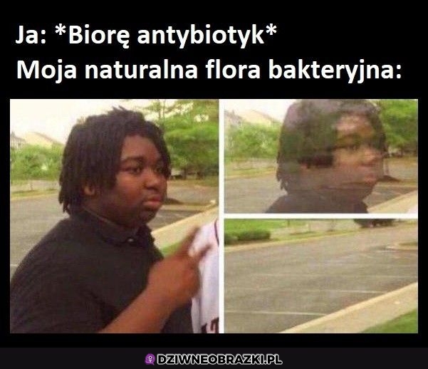 Kiedy biorę antybiotyk