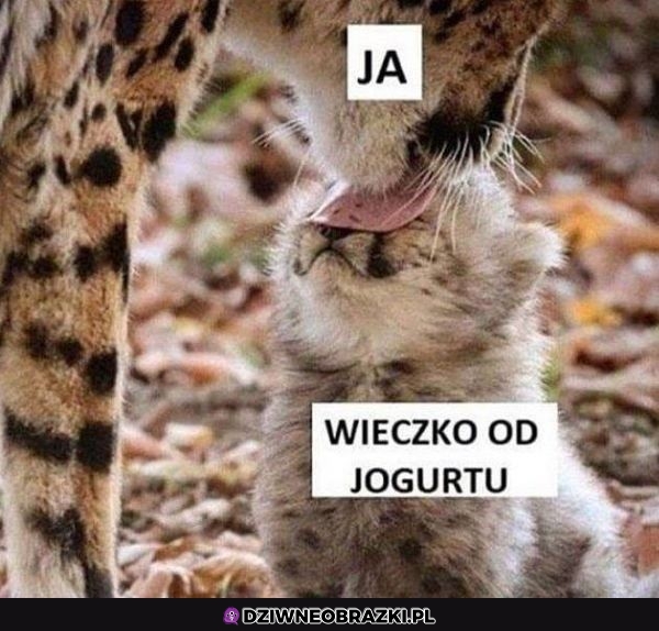 Zawsze