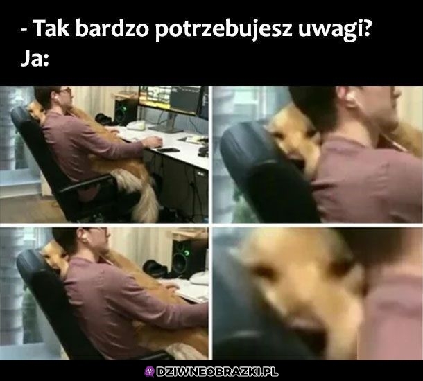 Potrzeba uwagi
