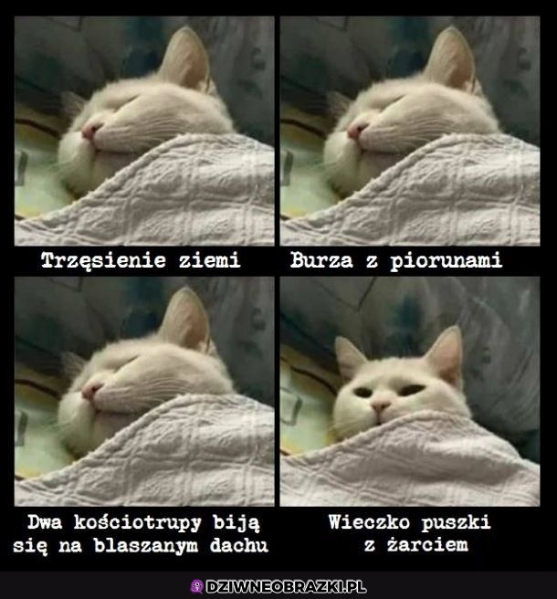 To zawsze obudzi