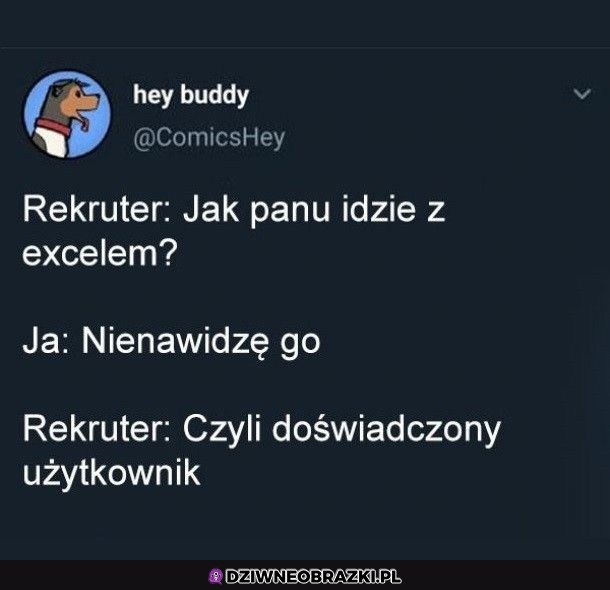 Excel taki jest