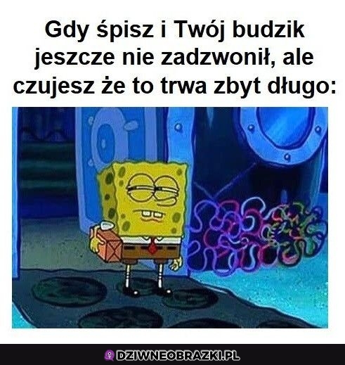 Podejrzane