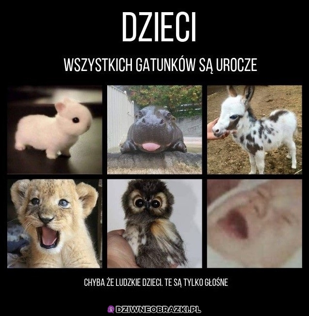 Urocze... a nie jednak nie