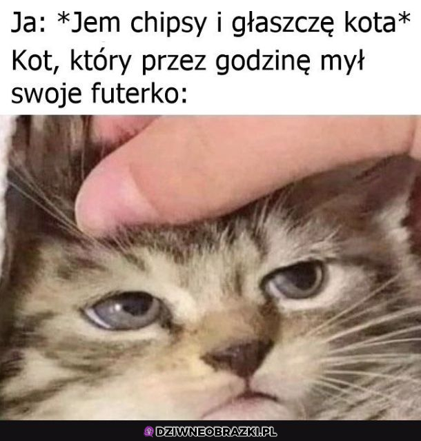 To chociaż daj chipsa 