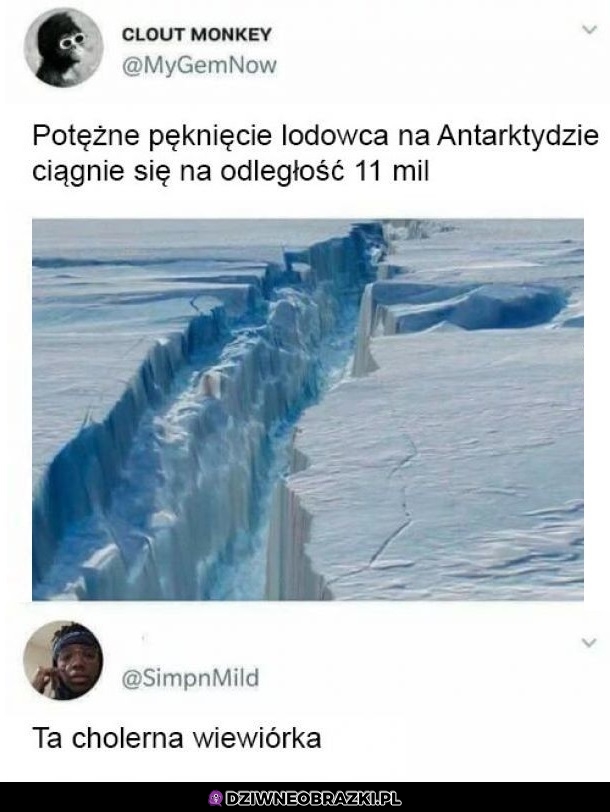 To na pewno ona
