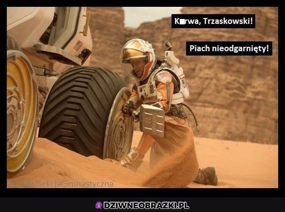 Wszystko jego wina