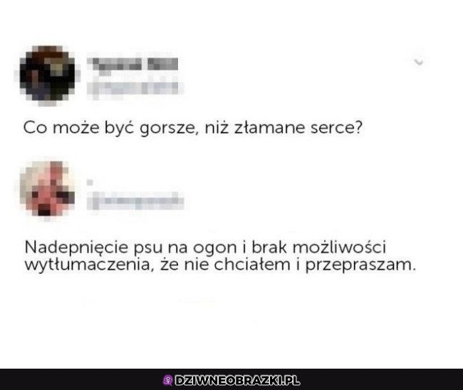 Zdecydowanie gorsze