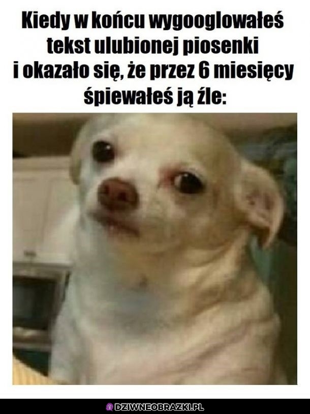 No nie