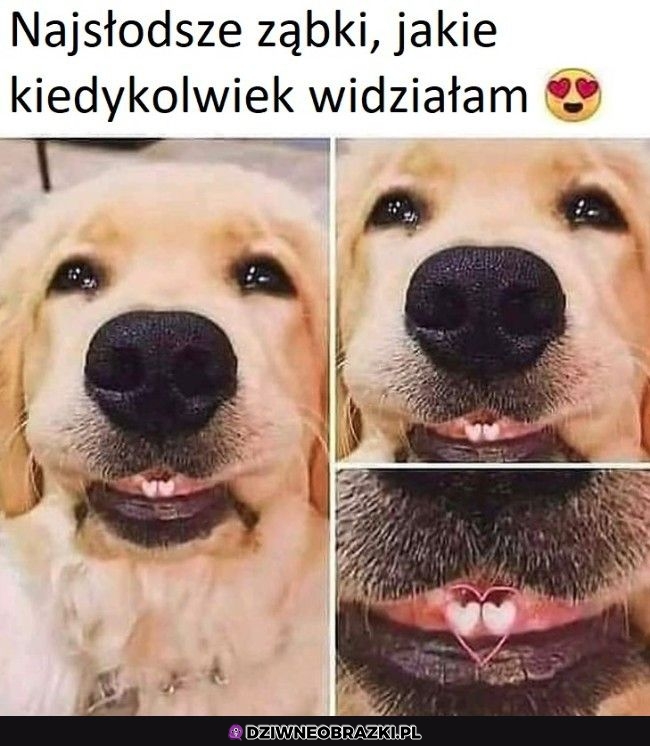 Słodziaśne