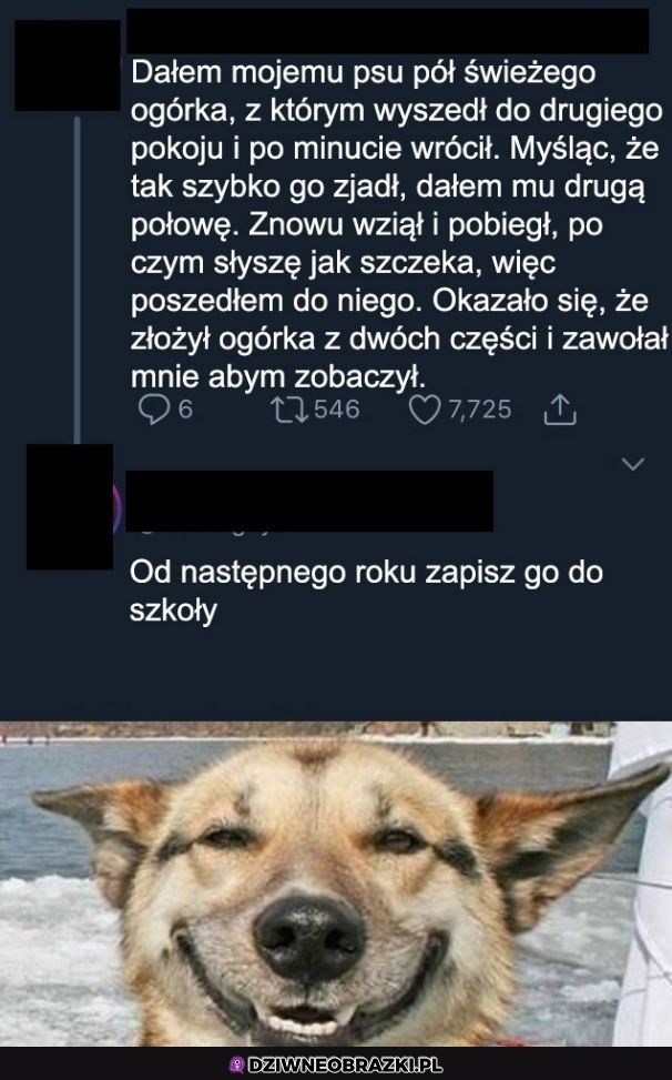 Sprytny pieseł