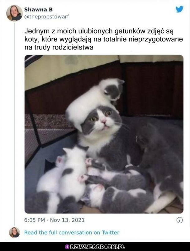 Też uwielbiam takie fotki