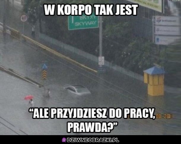 W korpo tak jest