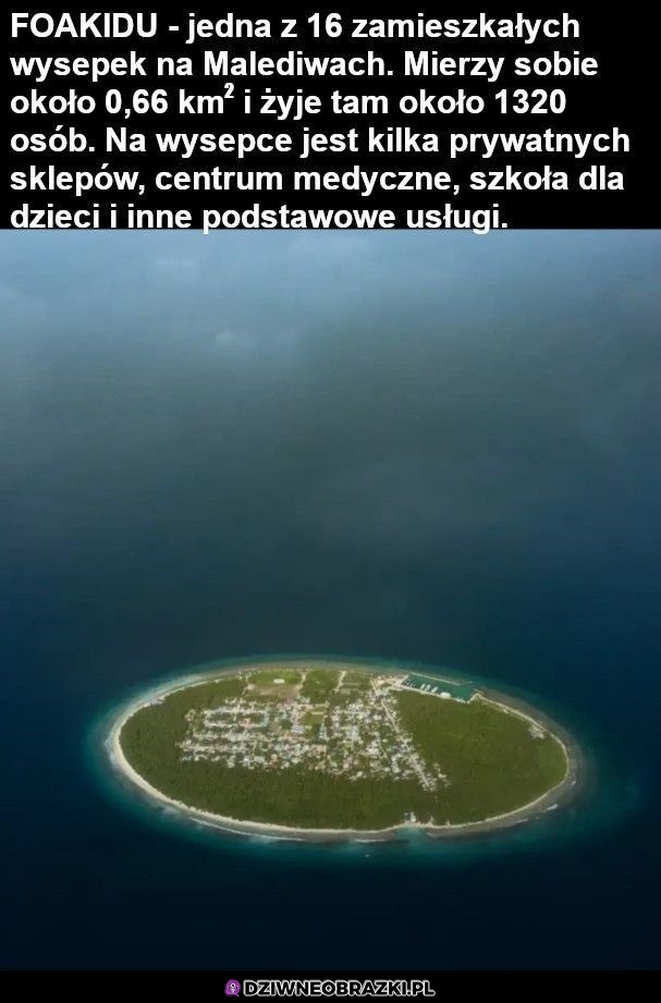 Chcę tam żyć