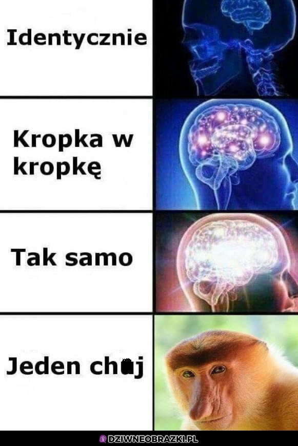 Identycznie