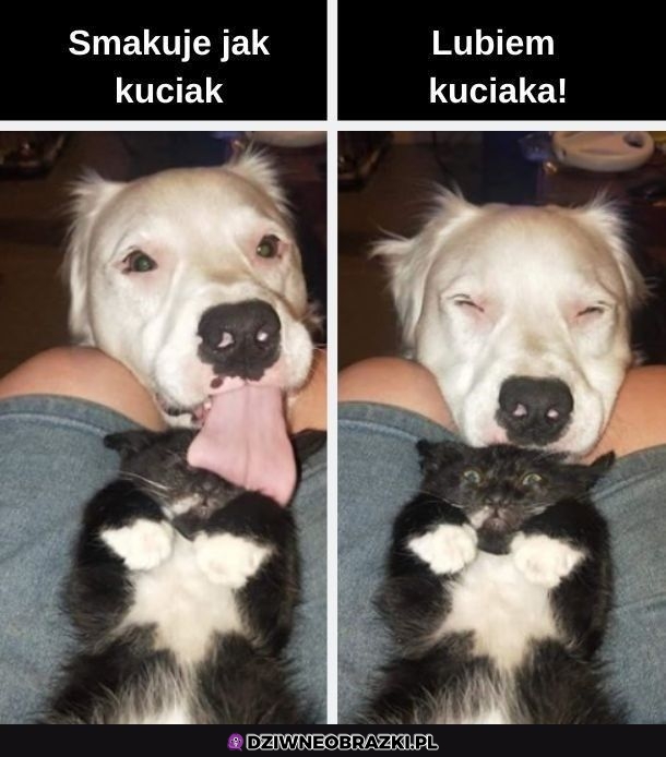 Kuciak
