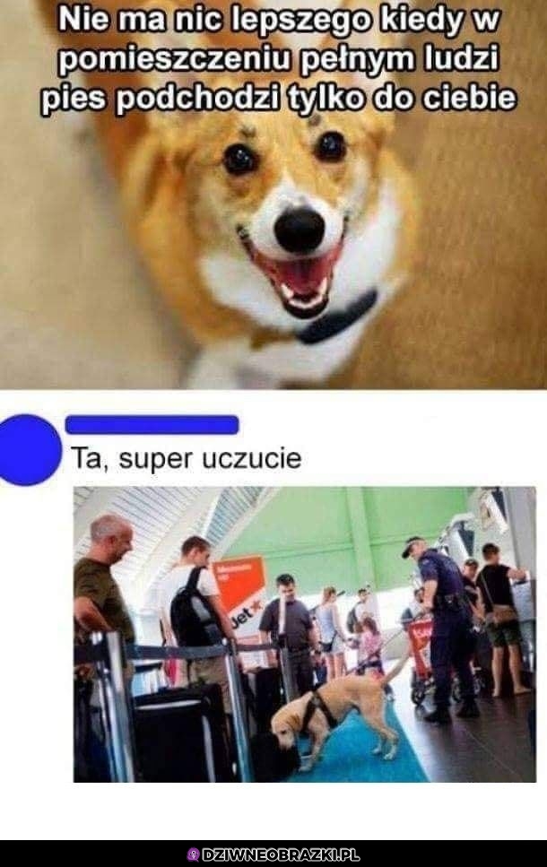 Nie ma nic lepszego