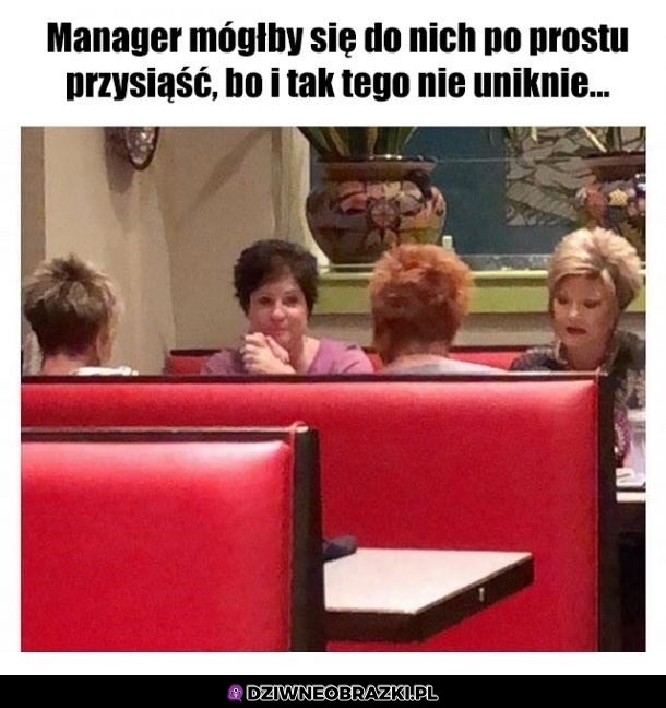 To już widać