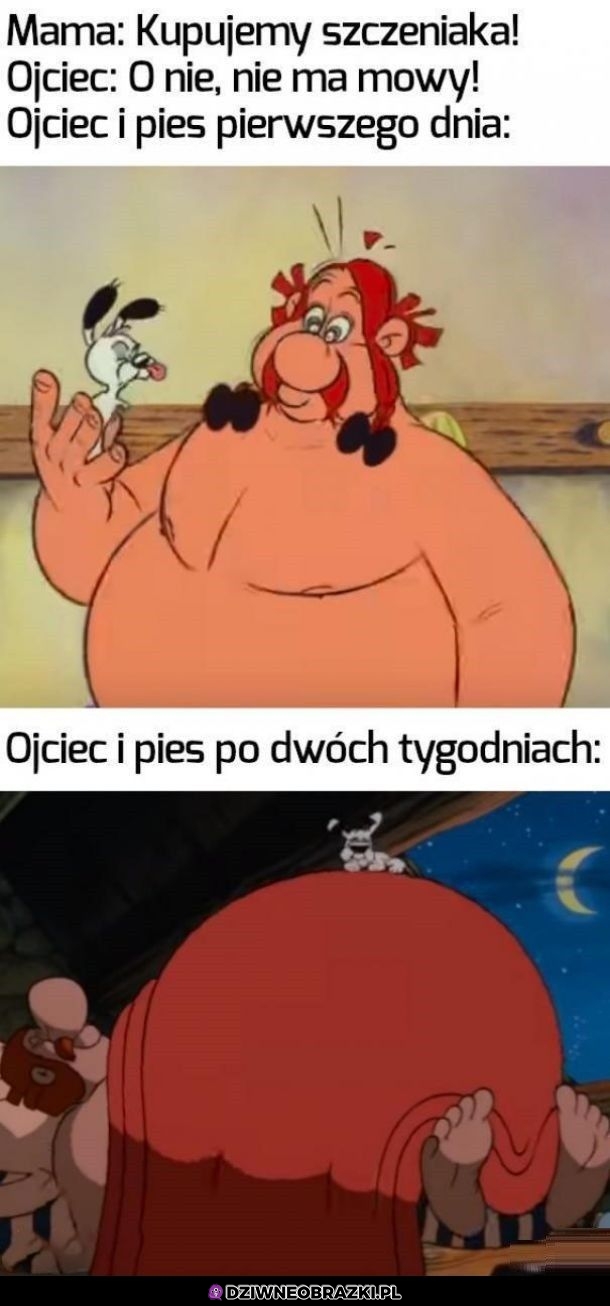 Ojciec i pies