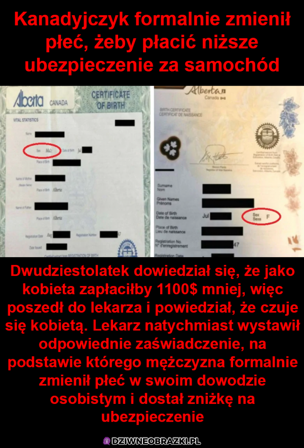 Ogarnął temat