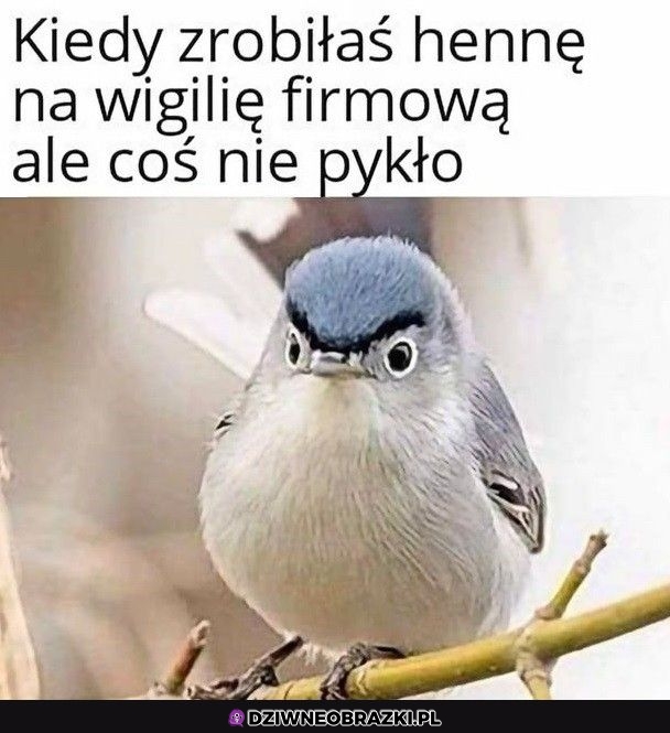 No faktycznie nie pykło