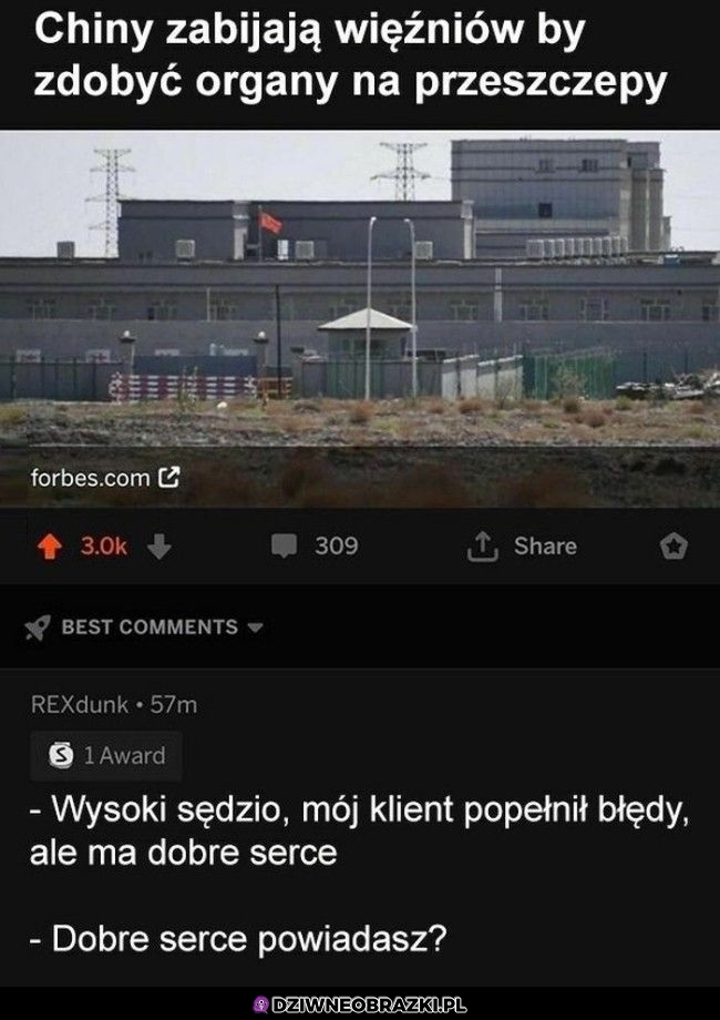 Przynajmniej się do czegoś przydają