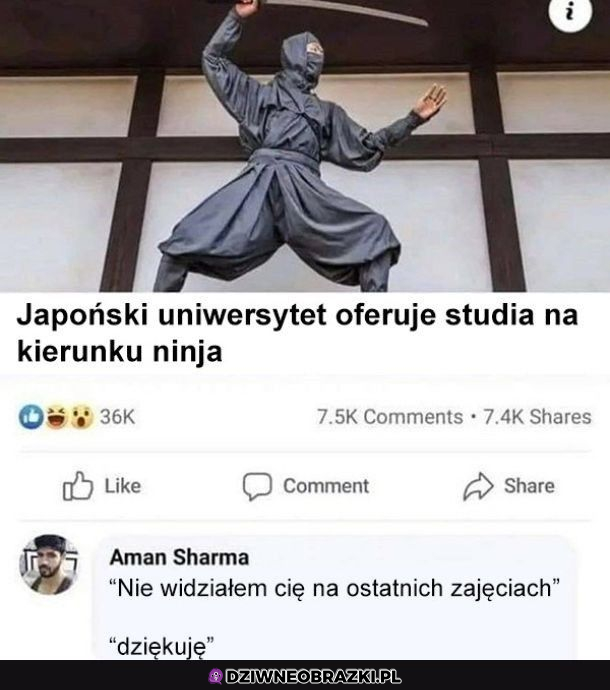 Chcesz być ninja?