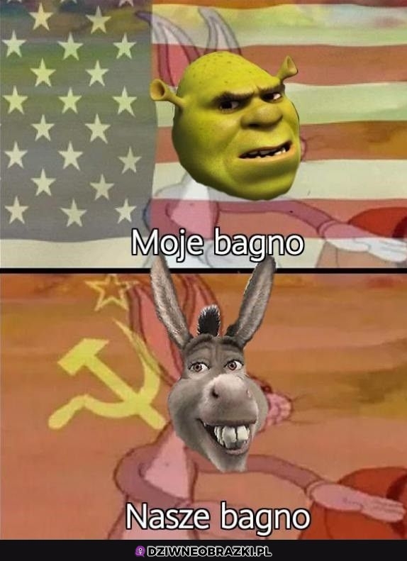 Shrek i osioł