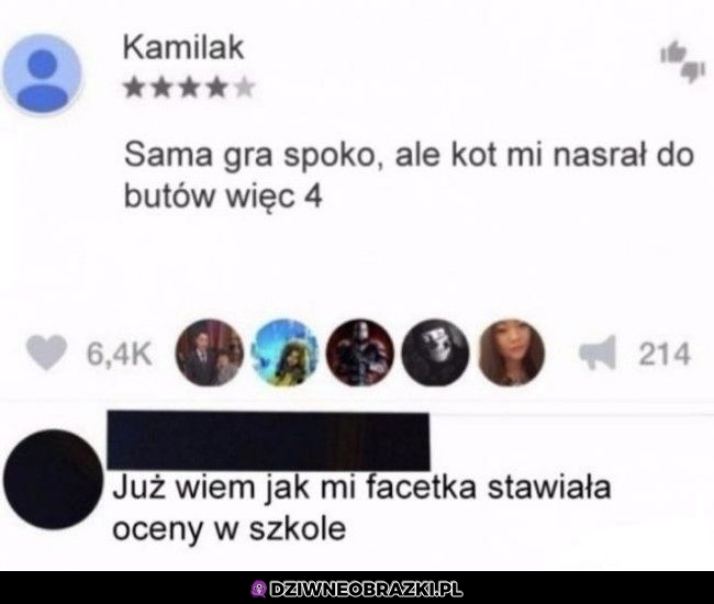 Losowa recenzja