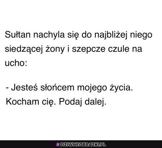 z życia Sułtana