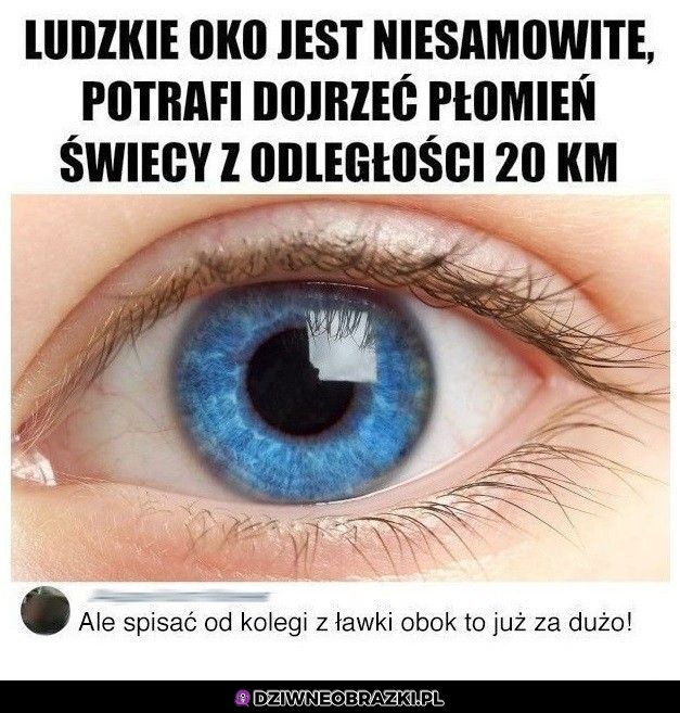 Ludzkie oko