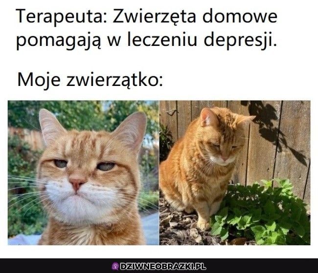 No nie wiem, nie wiem