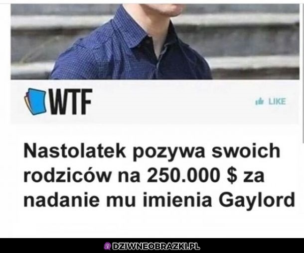 Nie dziwię się