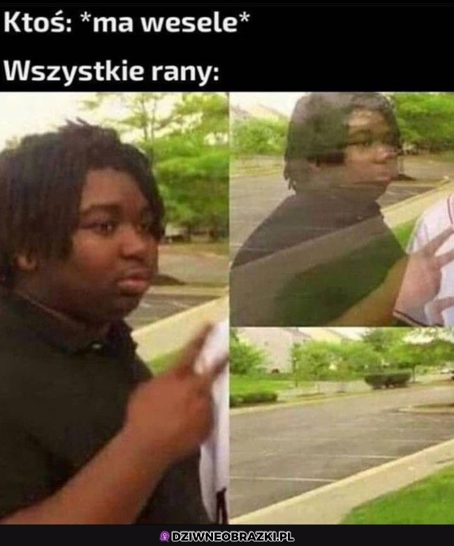 Właśnie to robią
