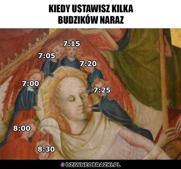 Budziki