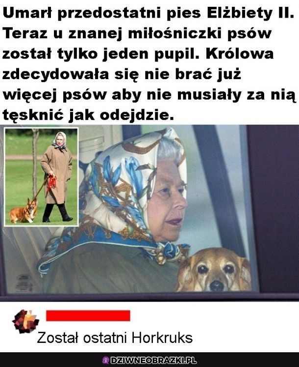 Już tylko jeden