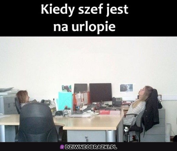 Kiedy szefa nie ma