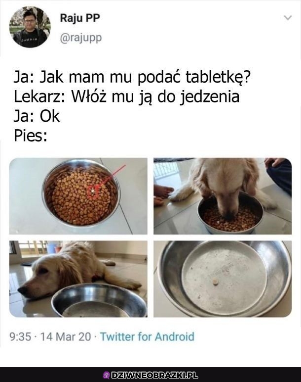 Nie pykło