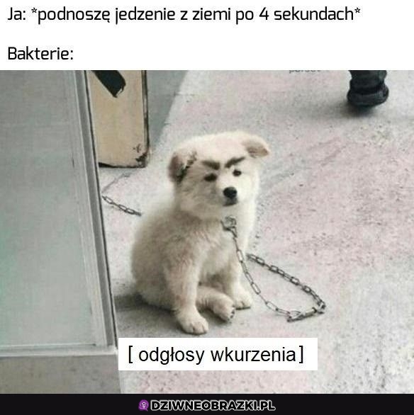 Kiedy zdążysz przed 5 sekundą