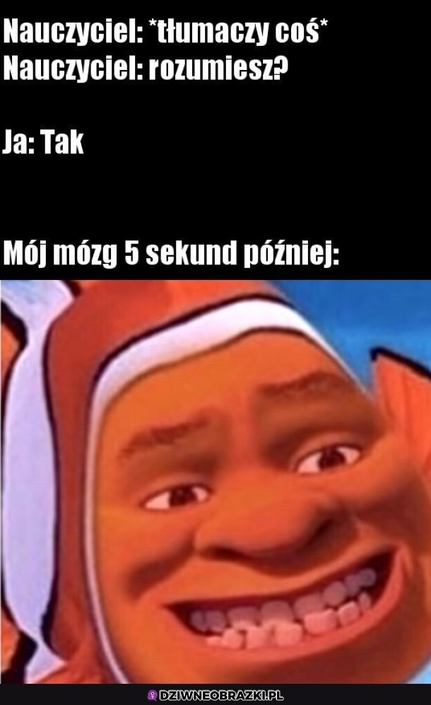 Ten moment