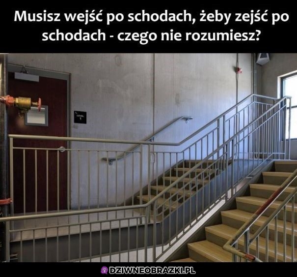 Wszystko logiczne