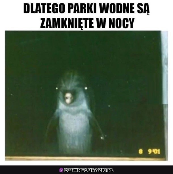 Z deczka przerażające