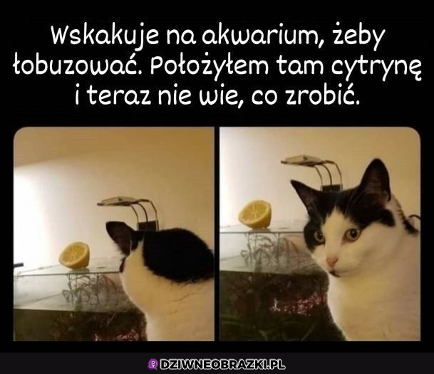 Ta mina zdradza, że to go nie powstrzyma