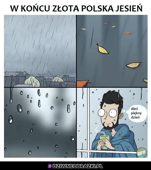 Pogoda za oknem