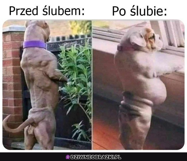 Co ślub robi z ludźmi