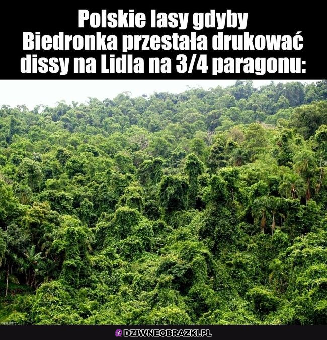 tak by było