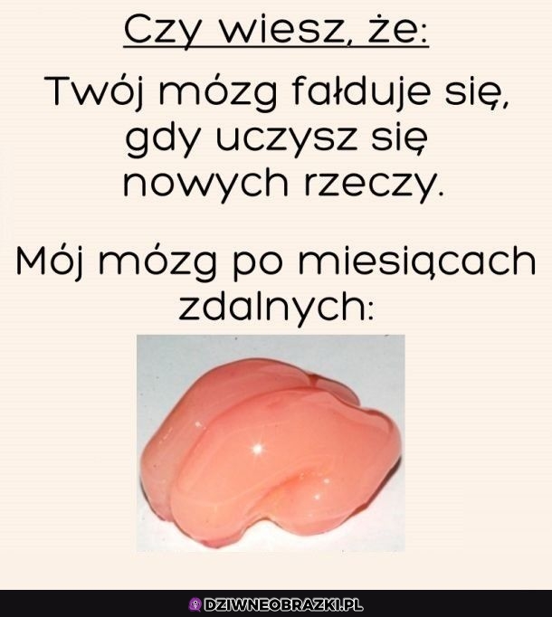 Dokładnie tak