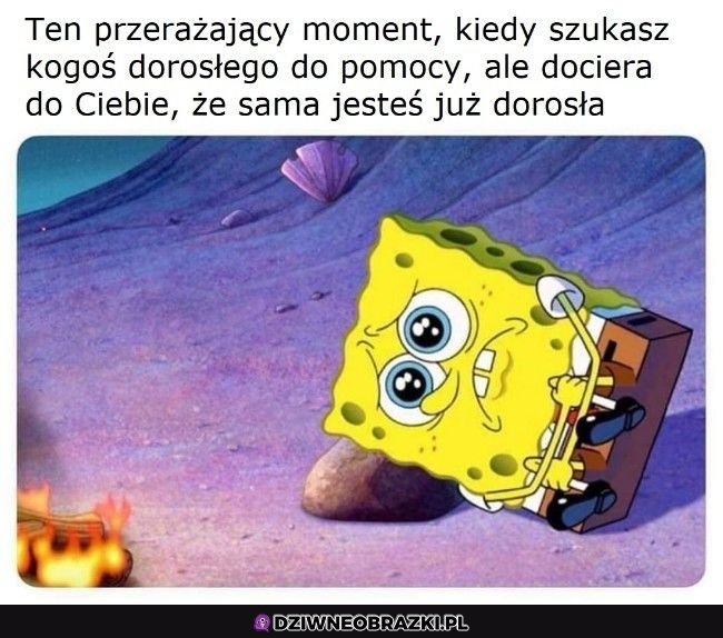 Ten moment